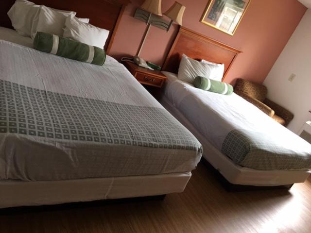 Double Room with Two Double Beds interior